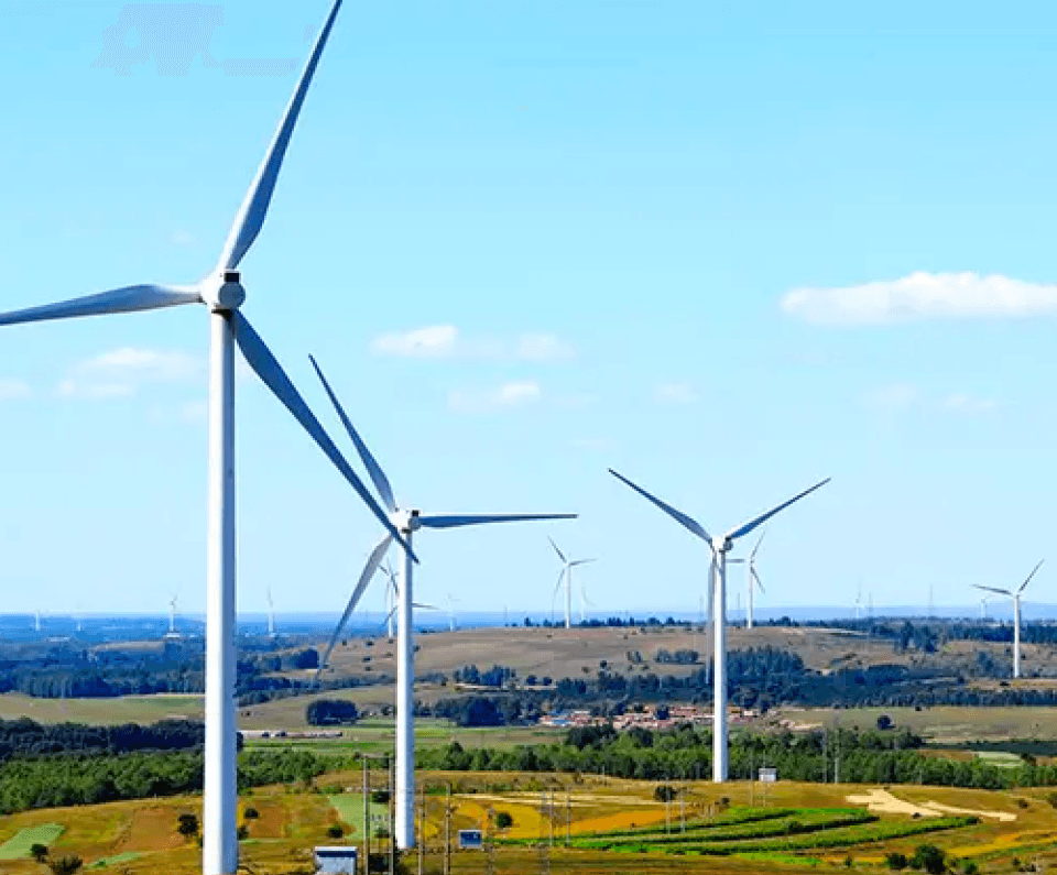 molinos de viento