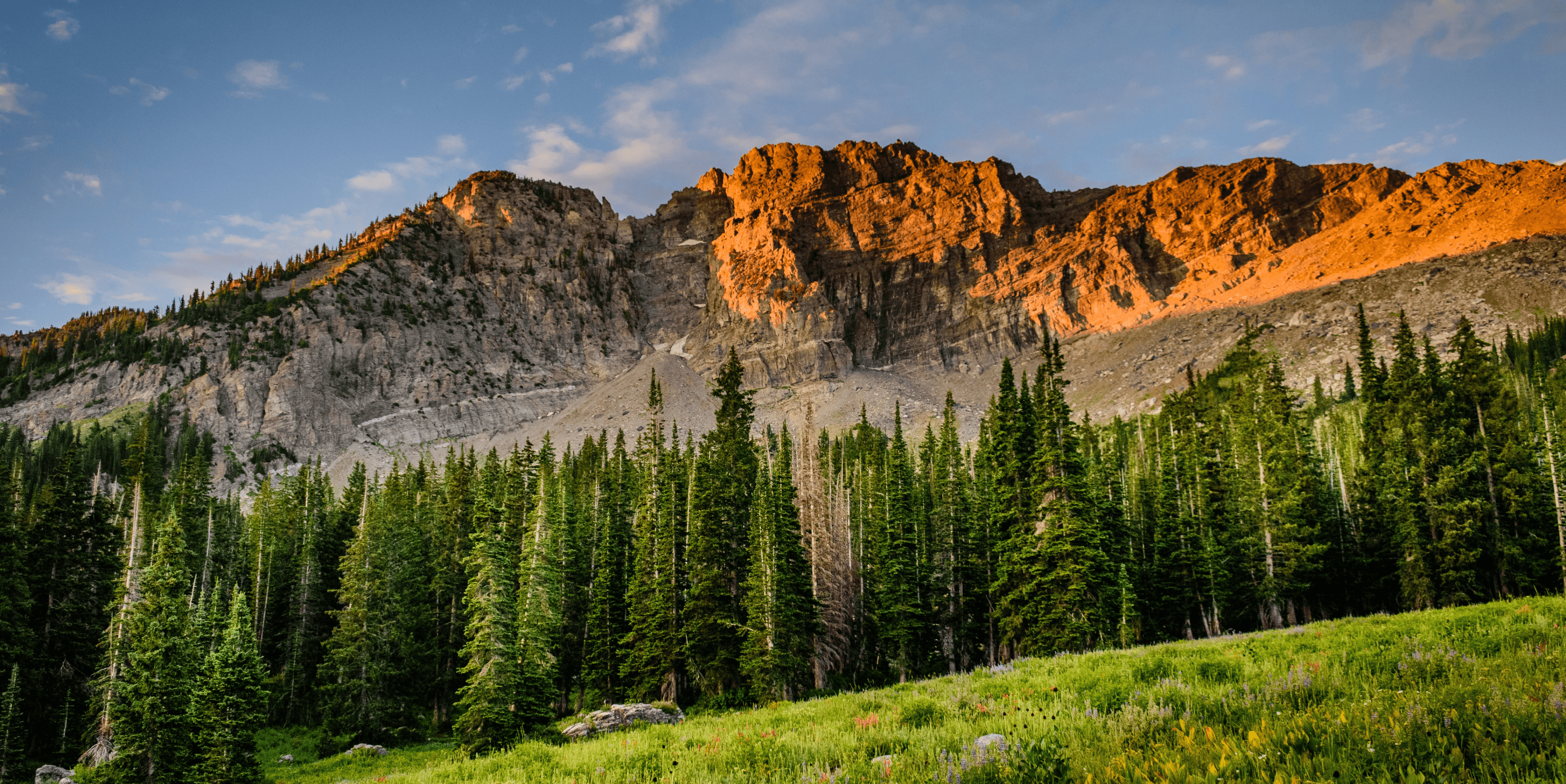 portada de chicos montando a caballo en las montaƱas